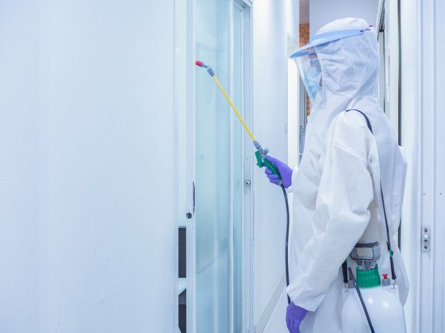 رش مبيد حشرات في الخليفة