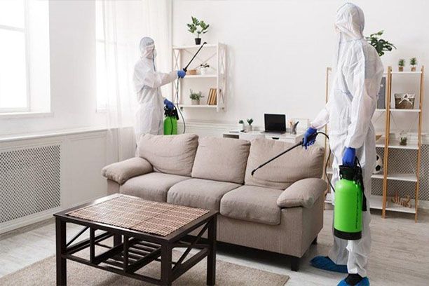 رش مبيد حشرات في جسر السويس