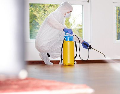 رش مبيدات حشرية في المنيا