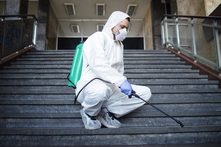 رش مبيدات حشرية