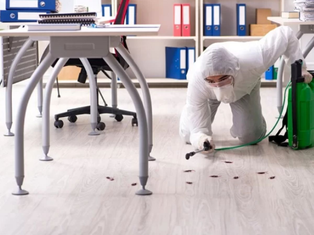 شركات الحشرات فى التجمع التالت