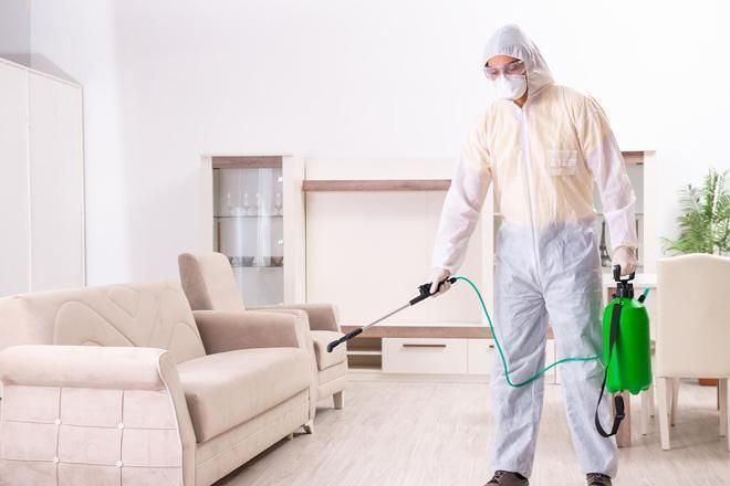 شركات الحشرات فى جمعية عرابي