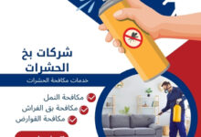 شركات بخ الحشرات