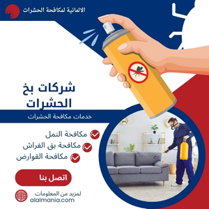 شركات بخ الحشرات