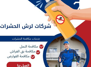 شركات لرش الحشرات