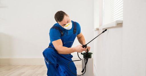 شركات مبيدات الحشرات في مصر الجديدة