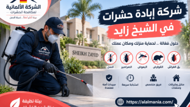 شركة إبادة حشرات في الشيخ زايد