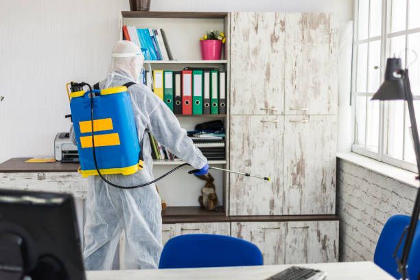 شركة ابادة حشرات فى القطاميه هايتس