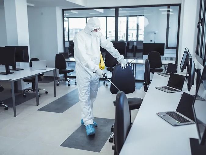 شركة ابادة حشرات في جسر السويس