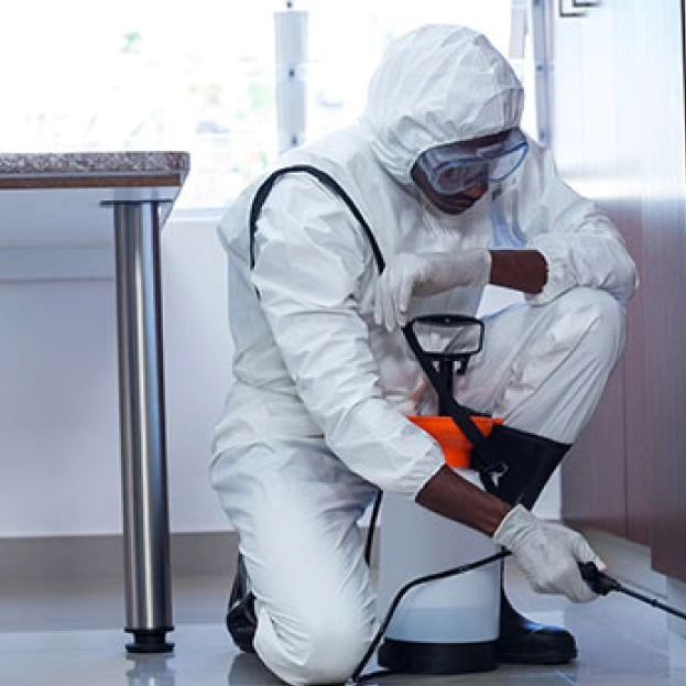 شركة المبيدات الحشرية