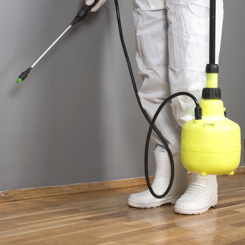 شركة تنظيف حشرات فى المقطم