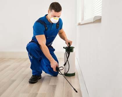 شركة رش حشرات فى التجمع التالت