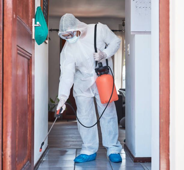 شركة رش حشرات فى القطاميه هايتس