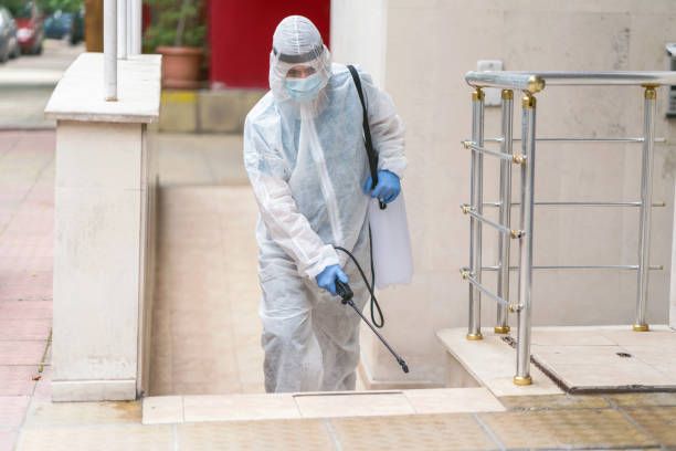 شركة لرش المنازل من الحشرات فى القطاميه هايتس