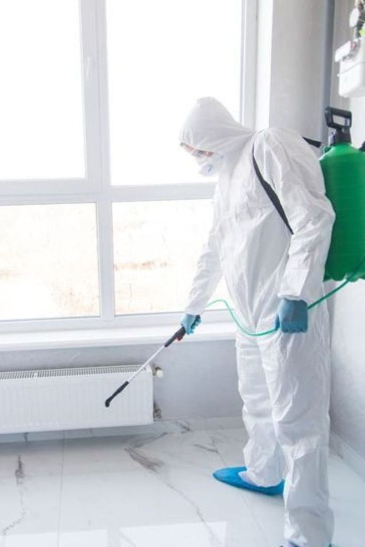 شركة مبيد حشرات