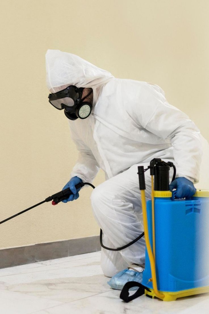 شركة مبيدات حشرية في المنيا