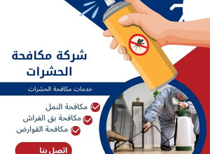 شركة مكافحة الحشرات