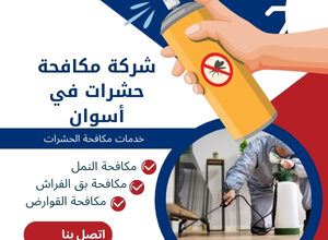 شركة مكافحة حشرات في أسوان