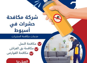 شركة مكافحة حشرات في أسيوط