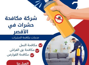 شركة مكافحة حشرات في الأقصر