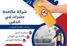 شركة مكافحة حشرات في الدقي