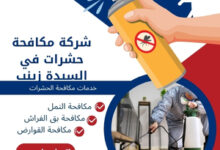 شركة مكافحة حشرات في السيدة زينب