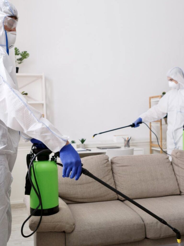 شركة مكافحة حشرات في العاشر من رمضان