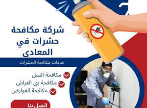 شركة مكافحة حشرات في المعادي