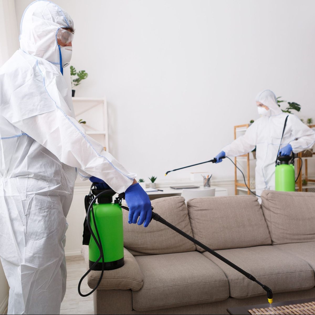 شركة مكافحة حشرات في باب الشعرية