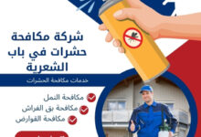 شركة مكافحة حشرات في باب الشعرية