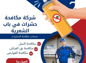 شركة مكافحة حشرات في باب الشعرية