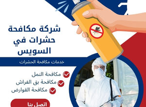 شركة مكافحة حشرات في جسر السويس