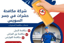 شركة مكافحة حشرات في جسر السويس