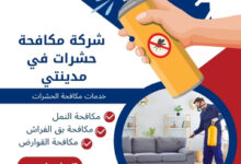 شركة مكافحة حشرات في مدينتي