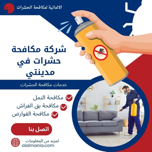 شركة مكافحة حشرات في مدينتي