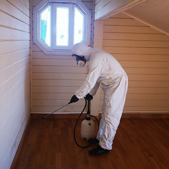 طريقة القضاء على البق