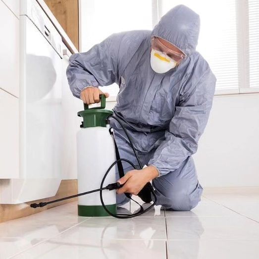 مبيدات حشرية منزلية فى السويس