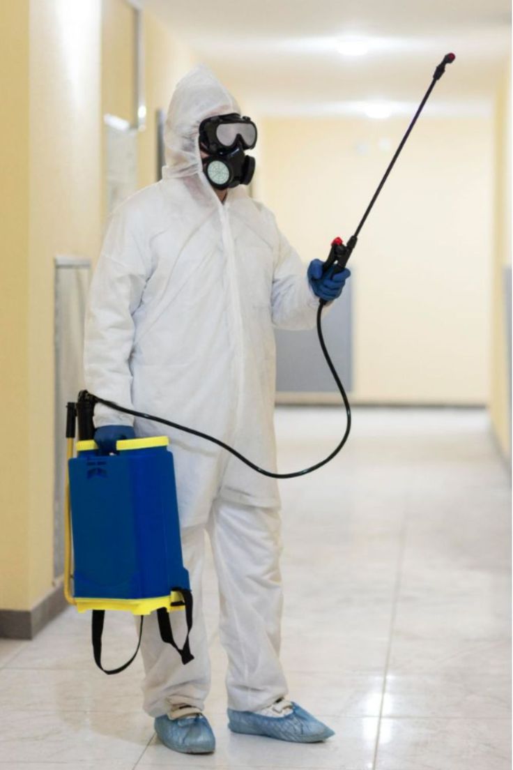 مكافحة الحشرات المنزلية فى مدينة المستقبل 