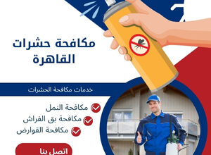 مكافحة حشرات القاهرة