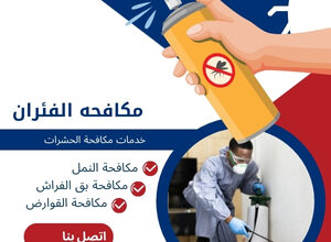 مكافحه الفئران