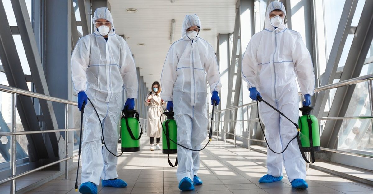 الشركة الالمانية لمكافحة الحشرات في القنطرة غرب