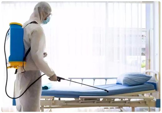 الشركة الالمانية لمكافحة الحشرات في القنطرة غرب