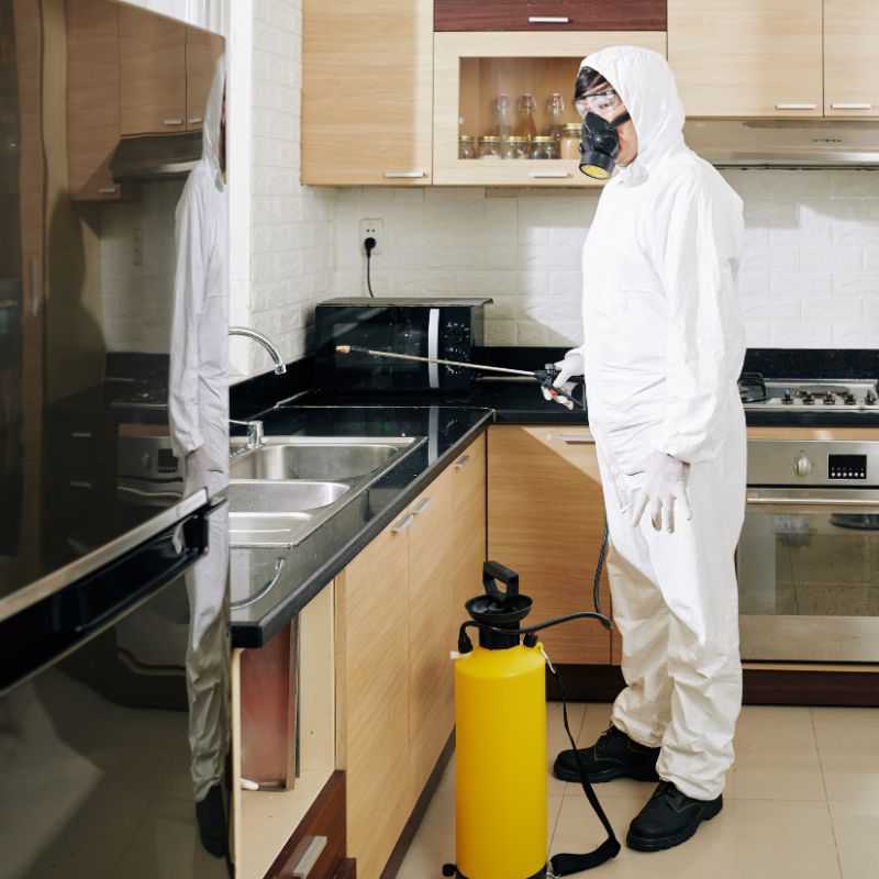 الشركه الالمانيه لرش الحشرات في الساحل الشمالي