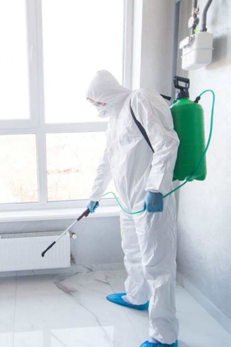 أفضل شركة إبادة حشرات