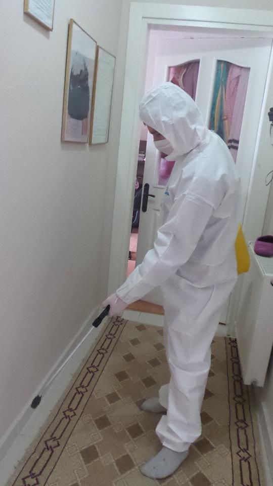 ابادة الحشرات المنزلية