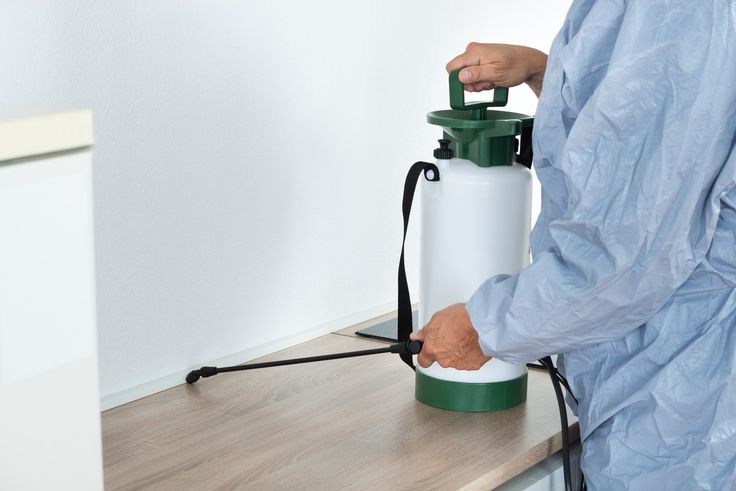 اتصل الآن واحصل على خدمة من احسن شركات مكافحة الحشرات