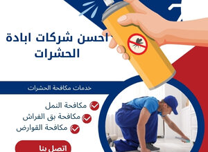 احسن شركات ابادة الحشرات