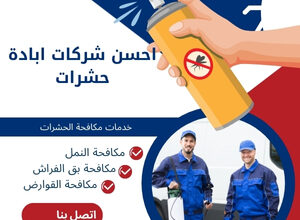 احسن شركات ابادة حشرات