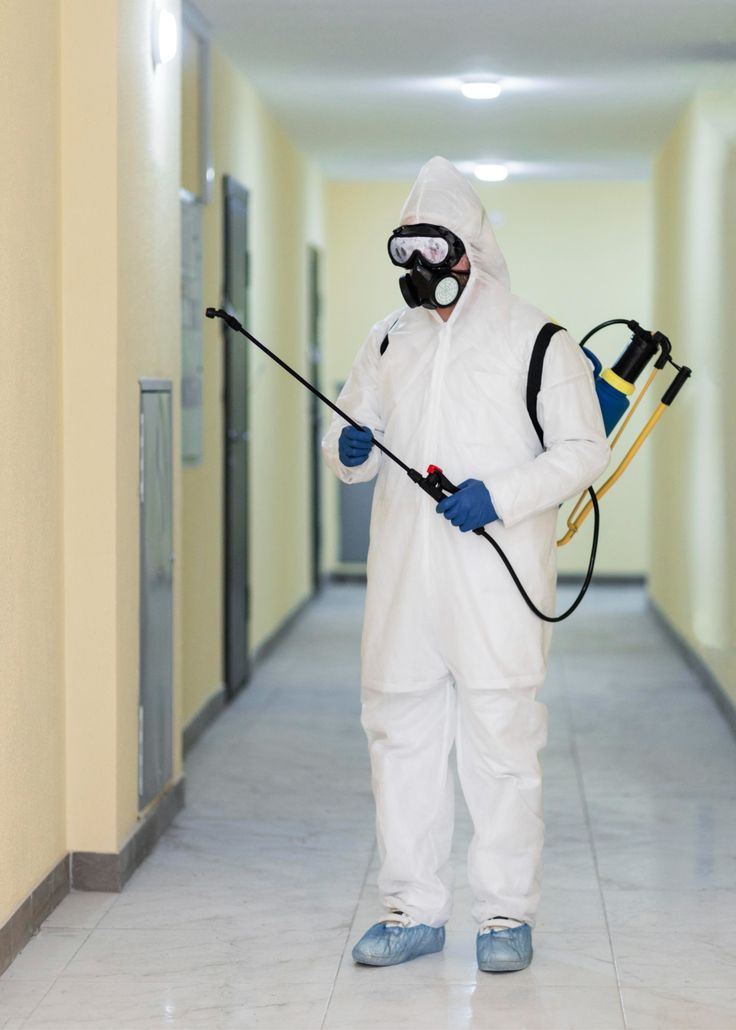 احسن شركات رش الحشرات