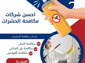 احسن شركات مكافحة الحشرات